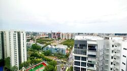 Amber 45 (D15), Apartment #482558881